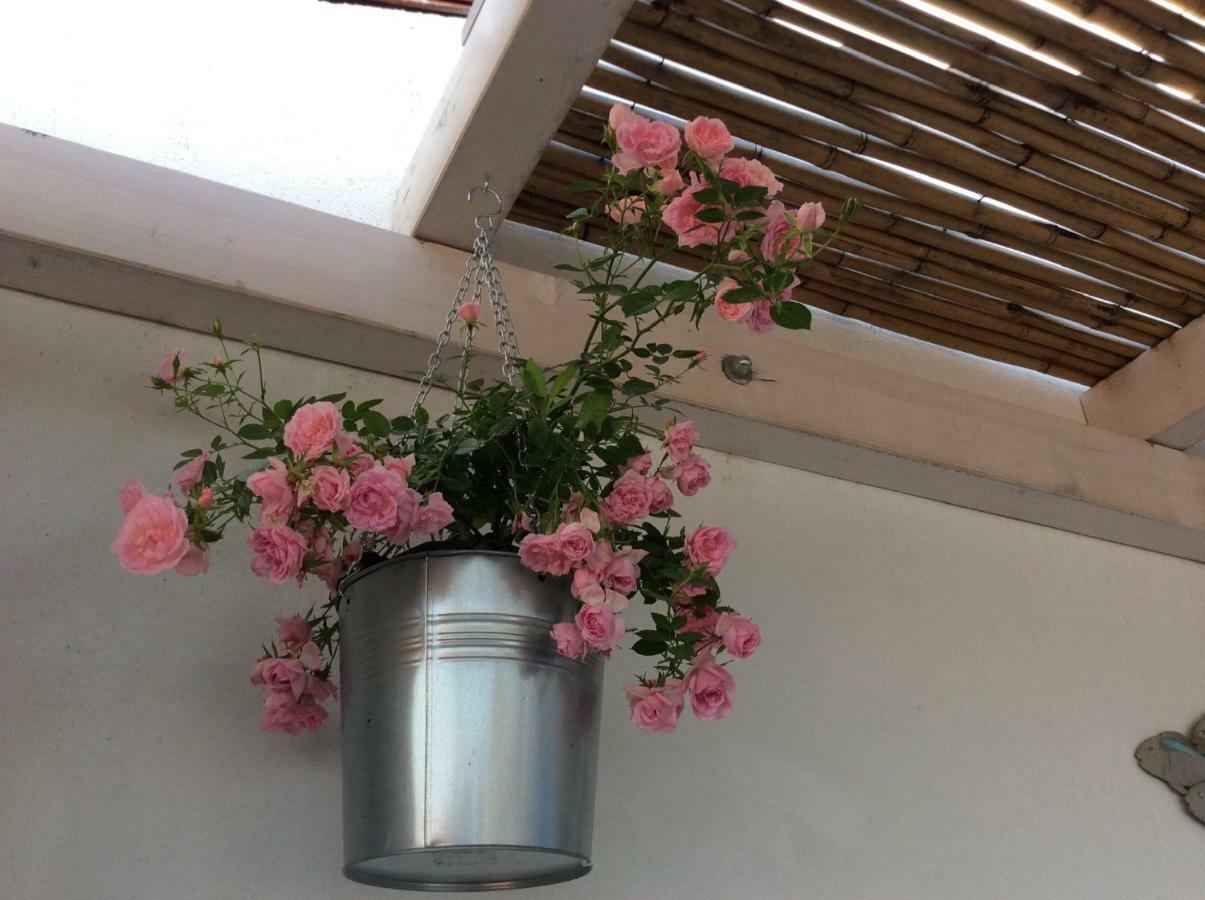 4 In Piazza Bed & Breakfast Sorso Luaran gambar